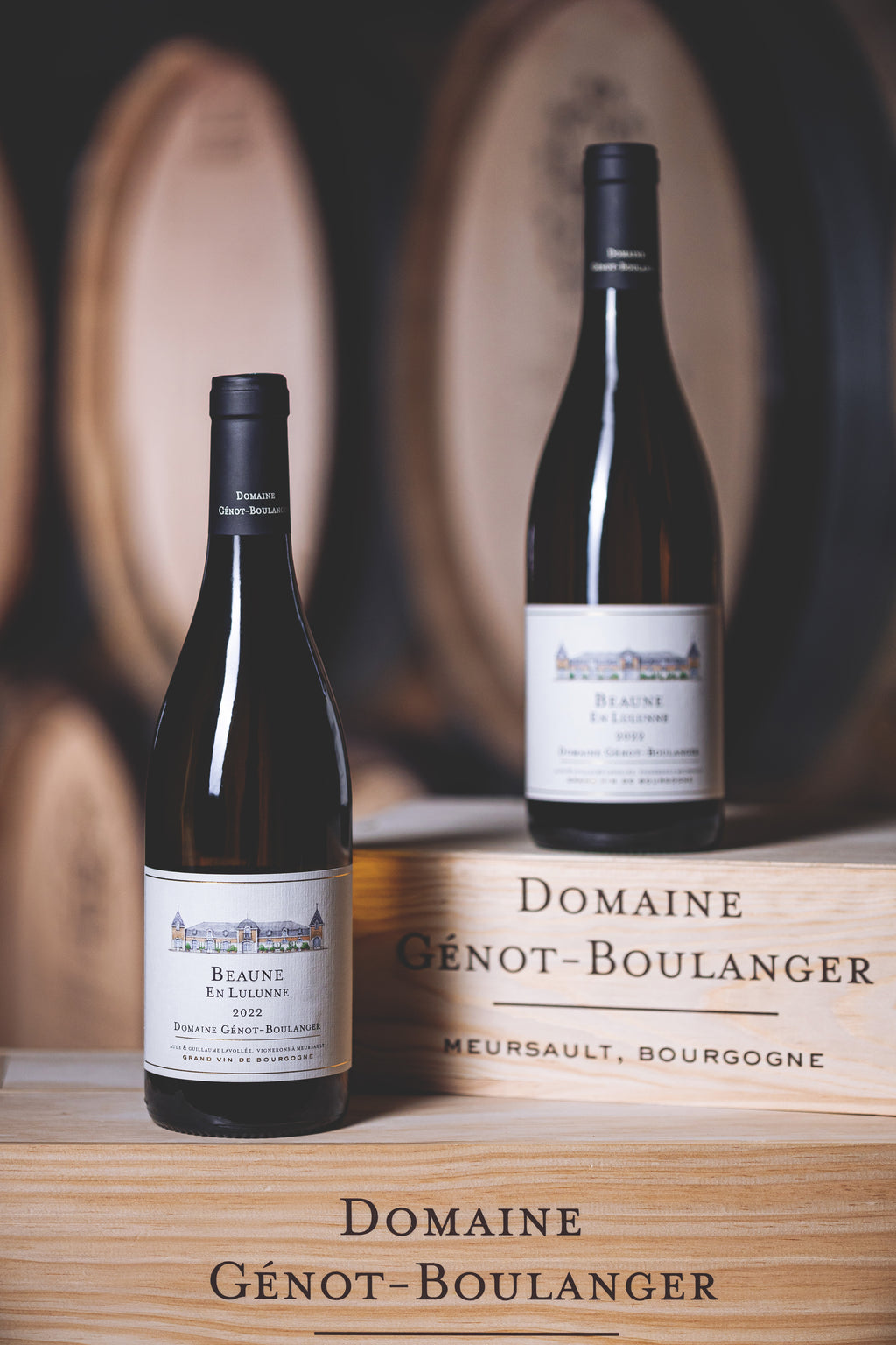 Beaune - En Lulunne - 2022